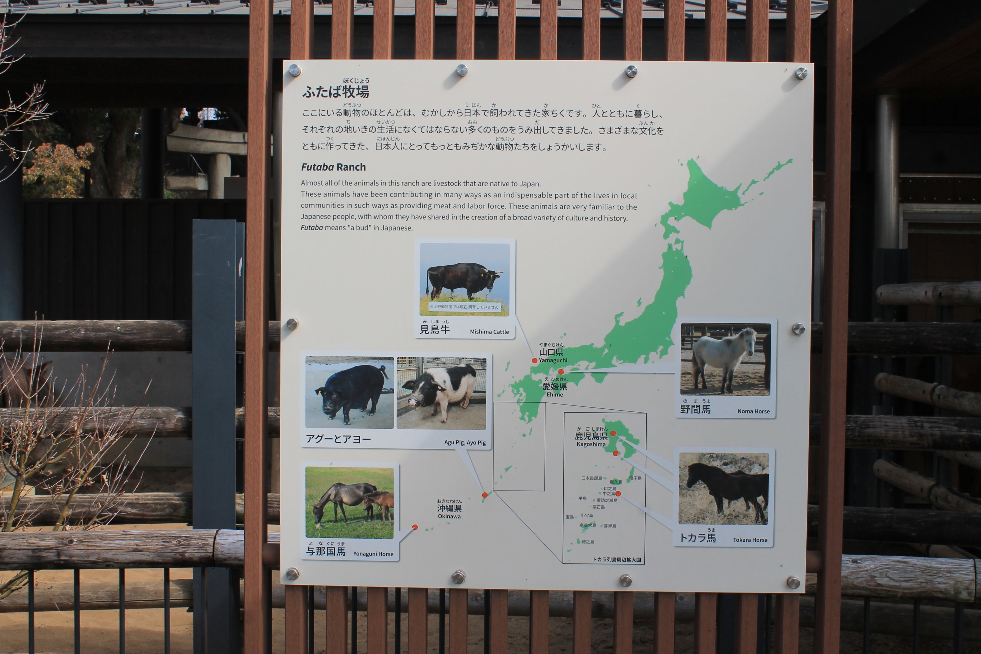 domestic species signage, Childrens Zoo