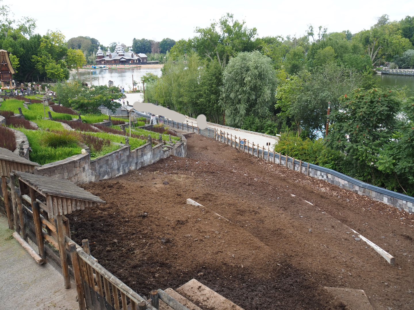 Domestic water buffalo and Negros Visayan warty pig paddock, 2020-09-02