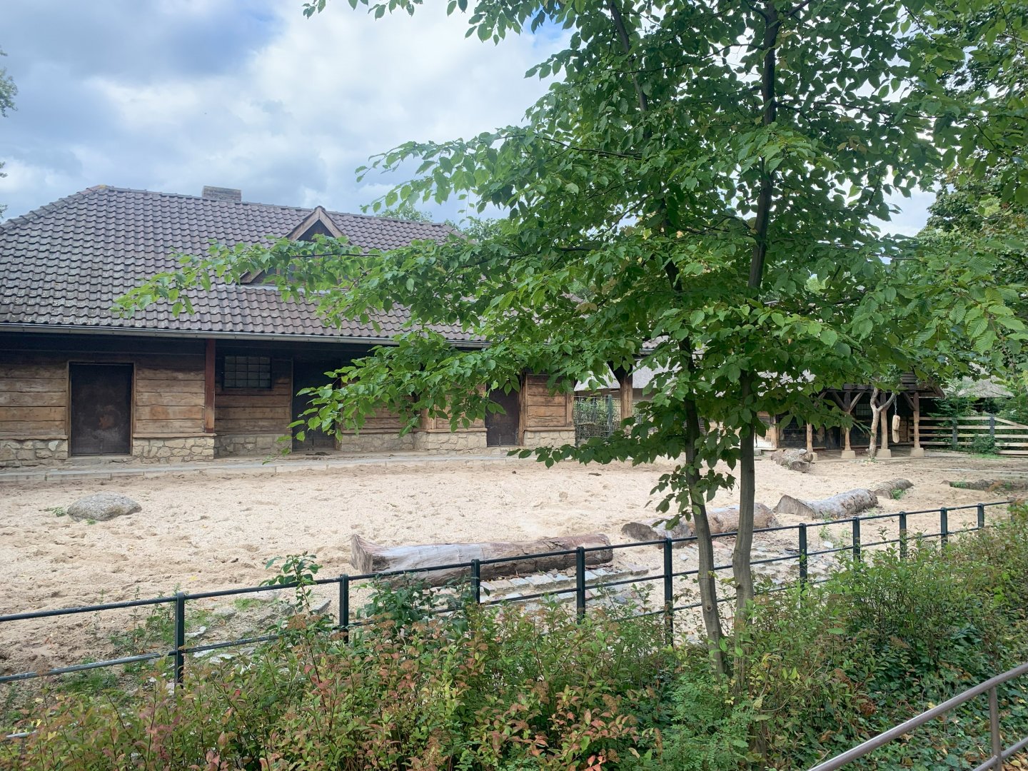 Domestic Water Buffalo enclosure