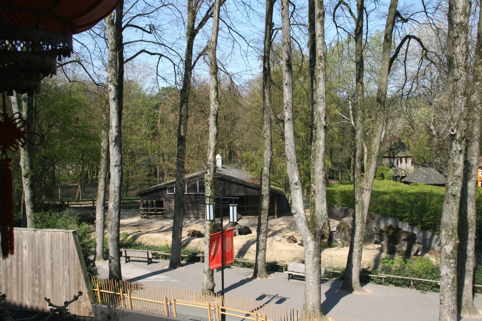 Domestic yak enclosure