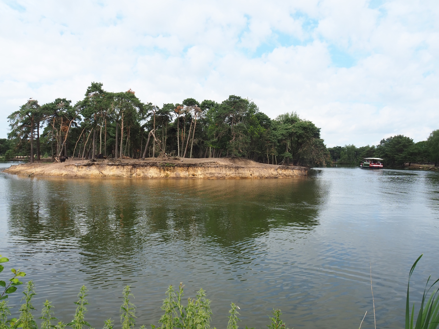Domestic yak exhibit and safari boat canal, 2022-06-12