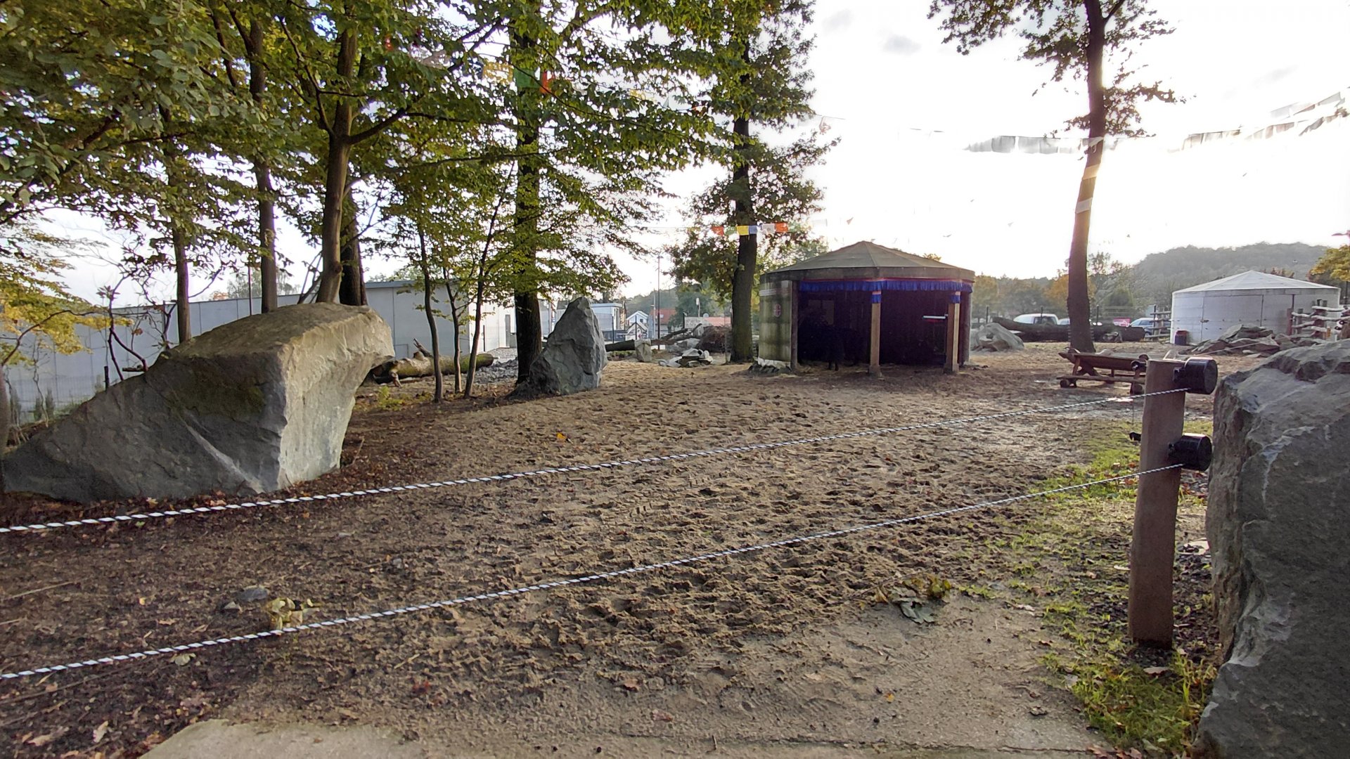 Domestic yak exhibit