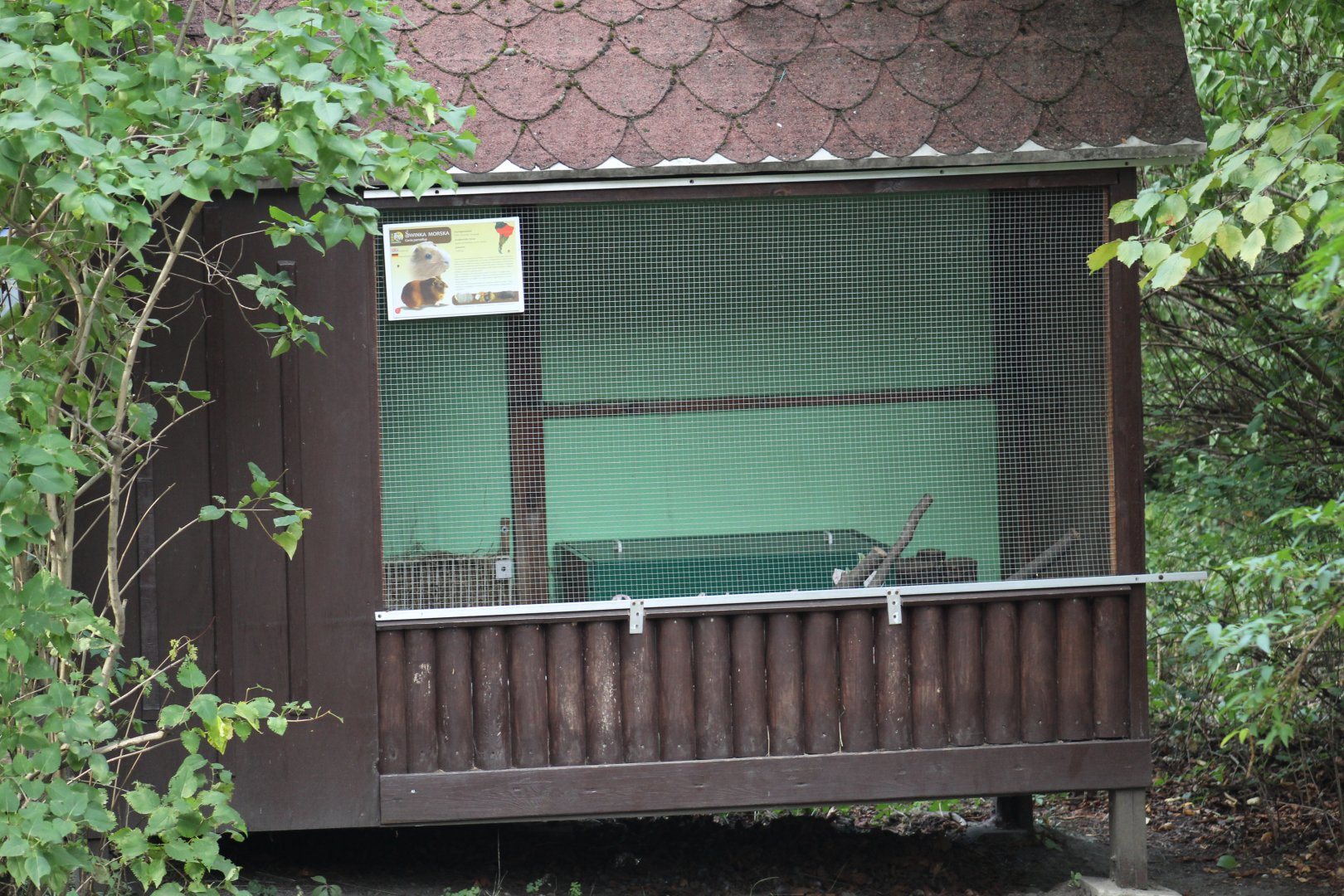 Domesticated Guineapig Cage