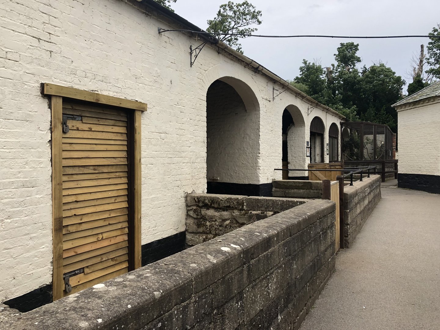 Domestics at Sewerby Zoo (June 2023)