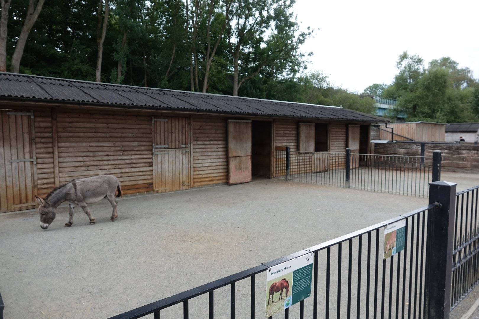 Domestics stables