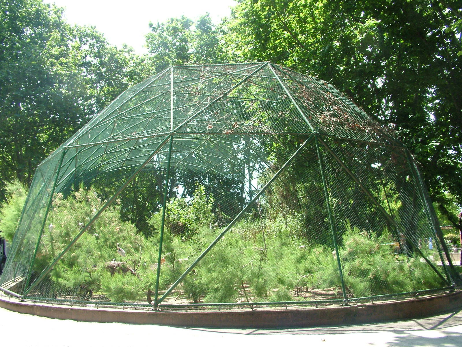 Donana Wetlands Aviary at Barcelona, 30/05/11