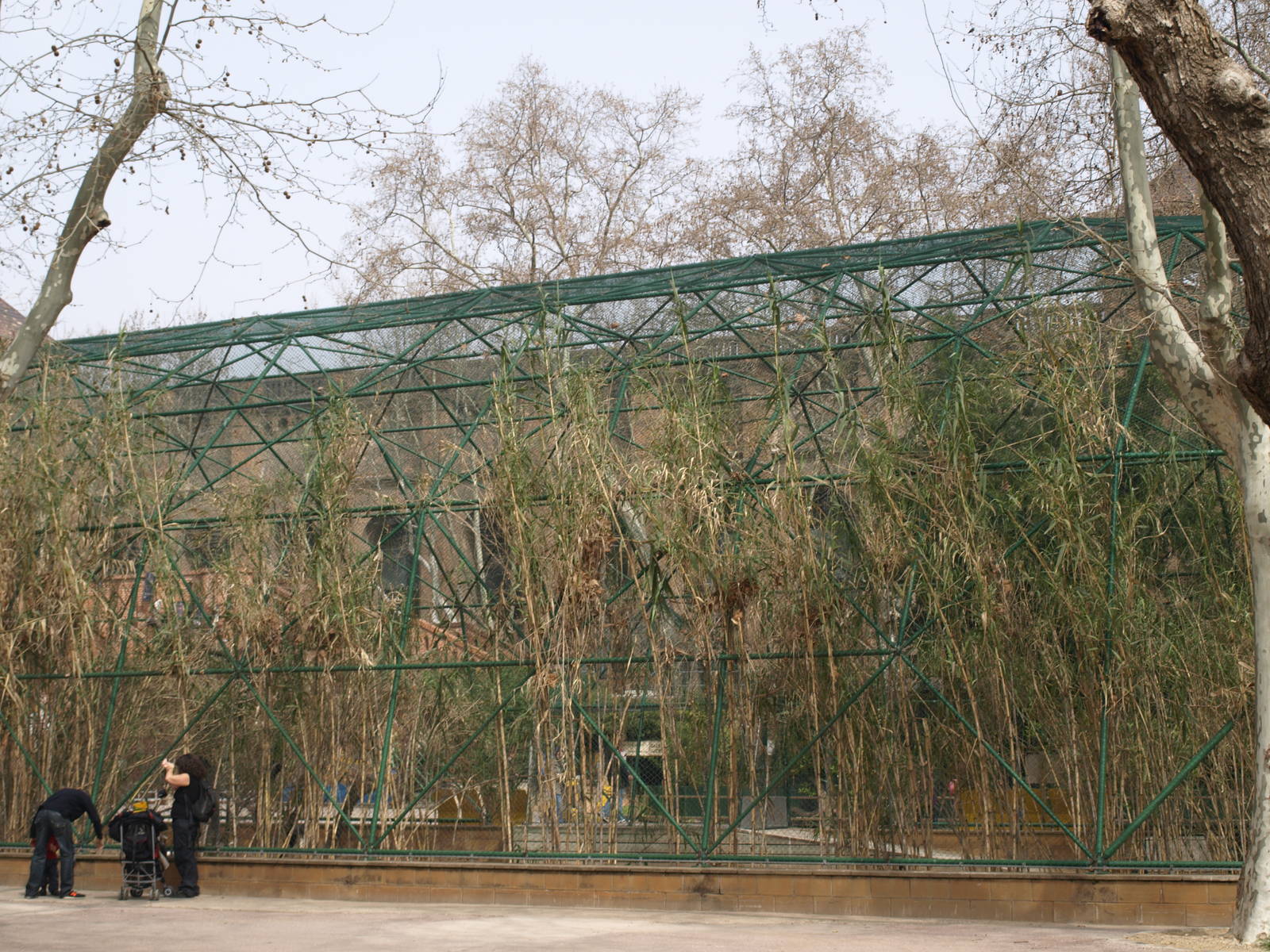 Doñana's old bird house