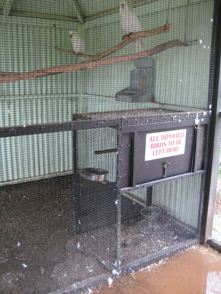 Donated birds