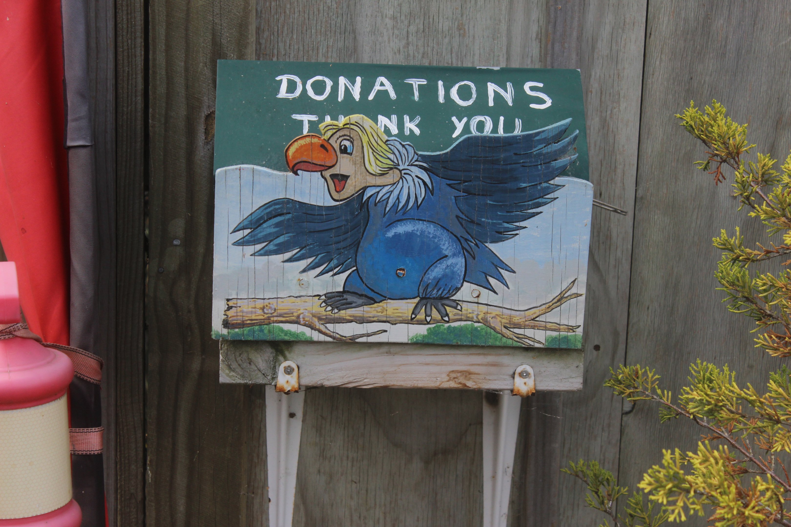 Donation box, Koru Native Wildlife Centre
