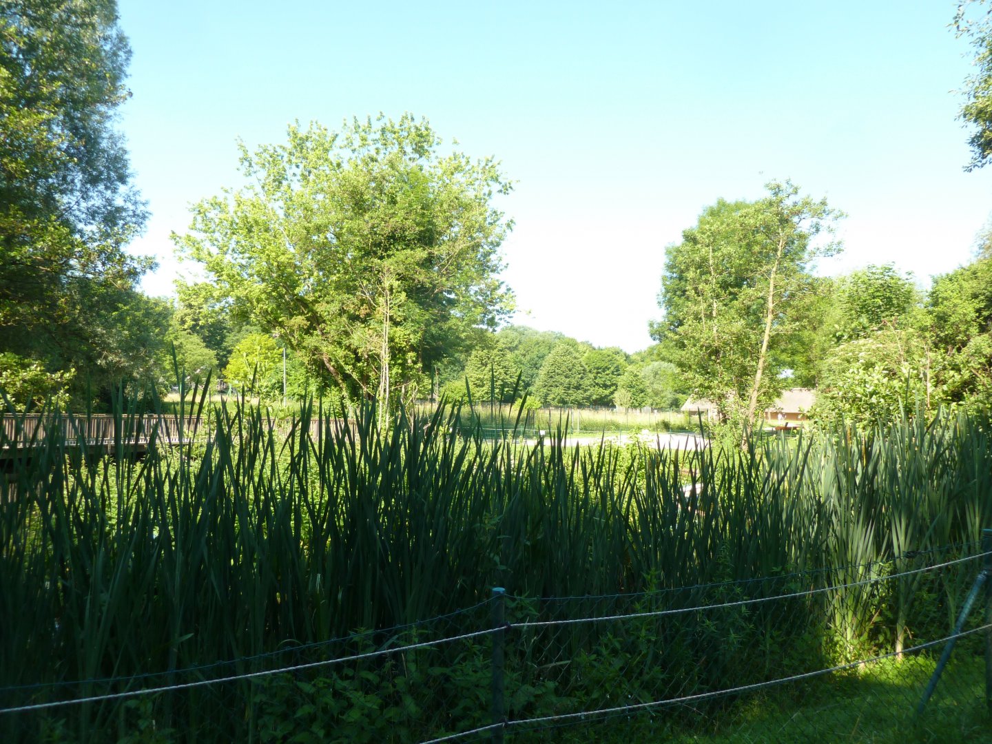 Donau aquarium viewing point