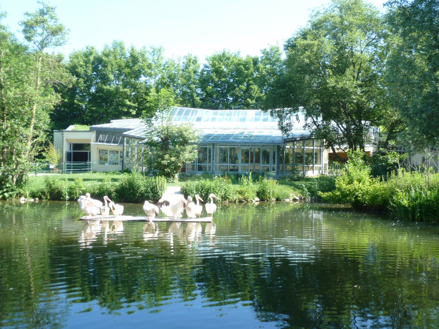 Donau aquarium