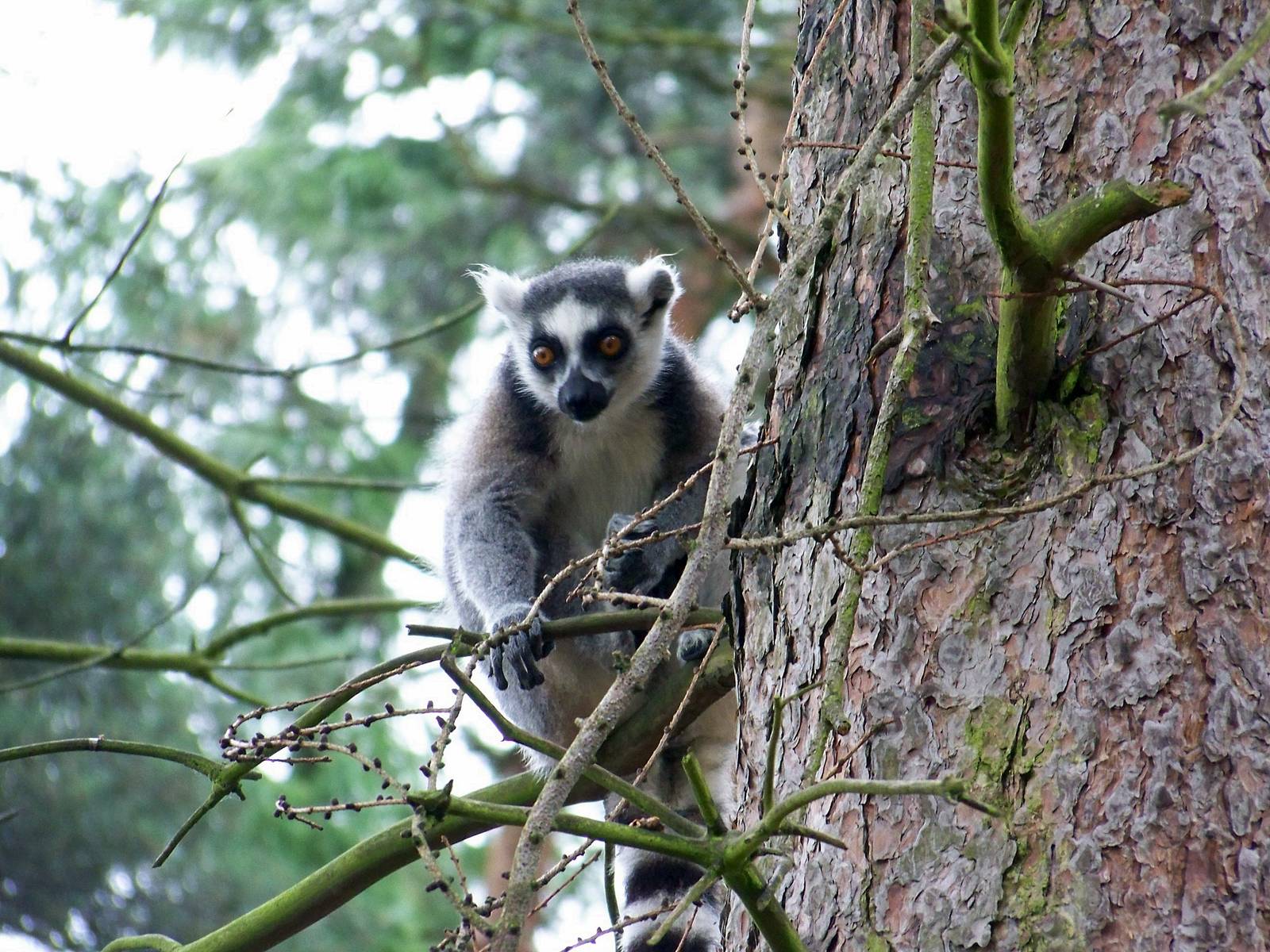 doncaster 5 197 julie