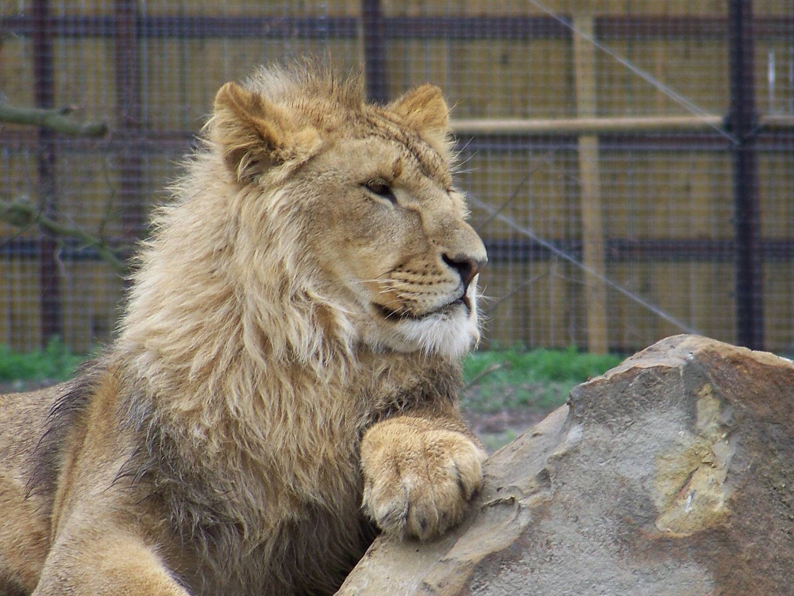 doncaster 5 282 julie