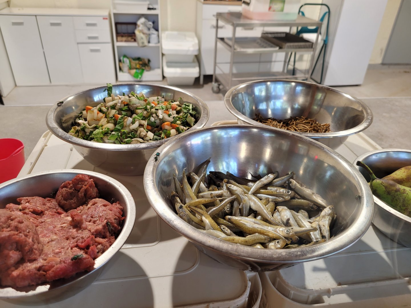 Done meals -Sendaviva (2024)