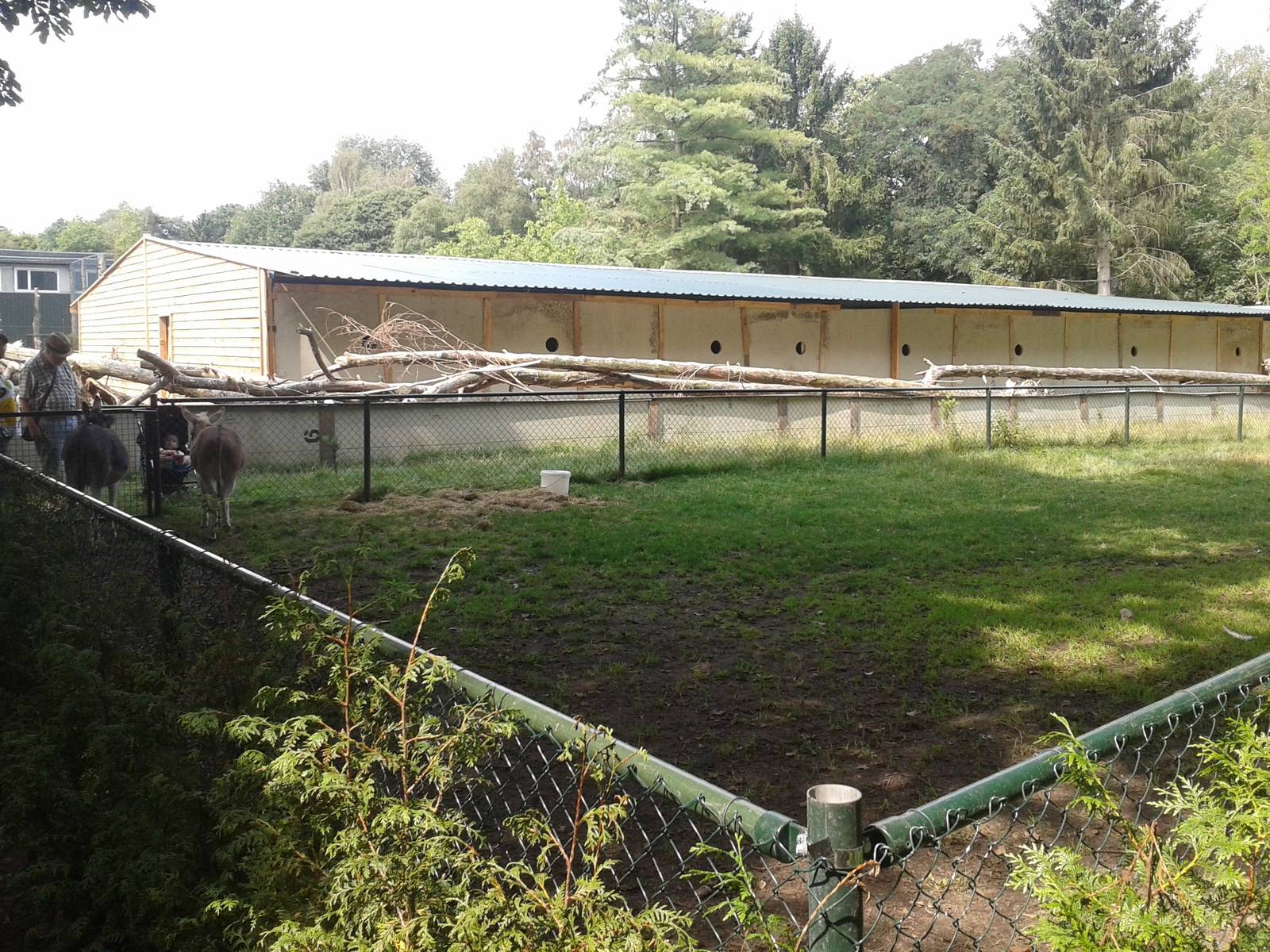 Donkey and Parrot enclosures