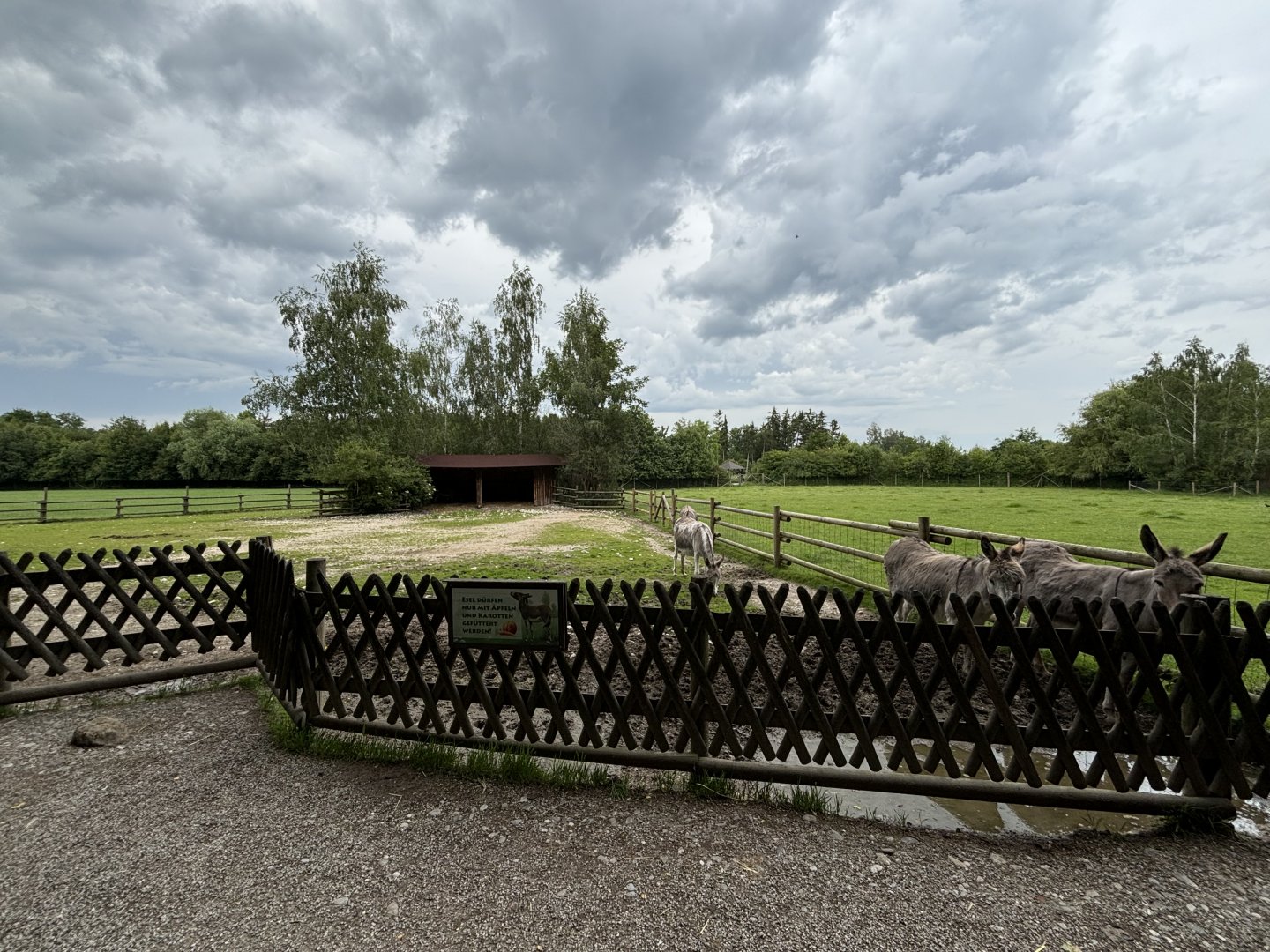 Donkey Enclosure at Wildpark Poing
