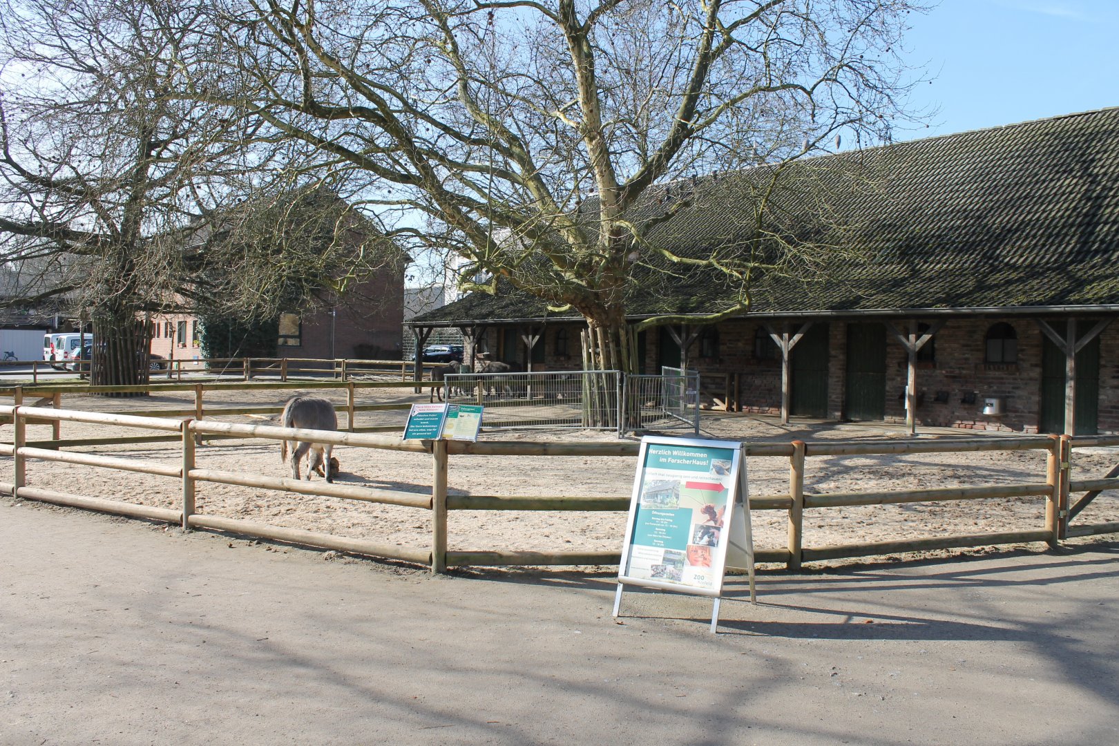 Donkey-enclosure