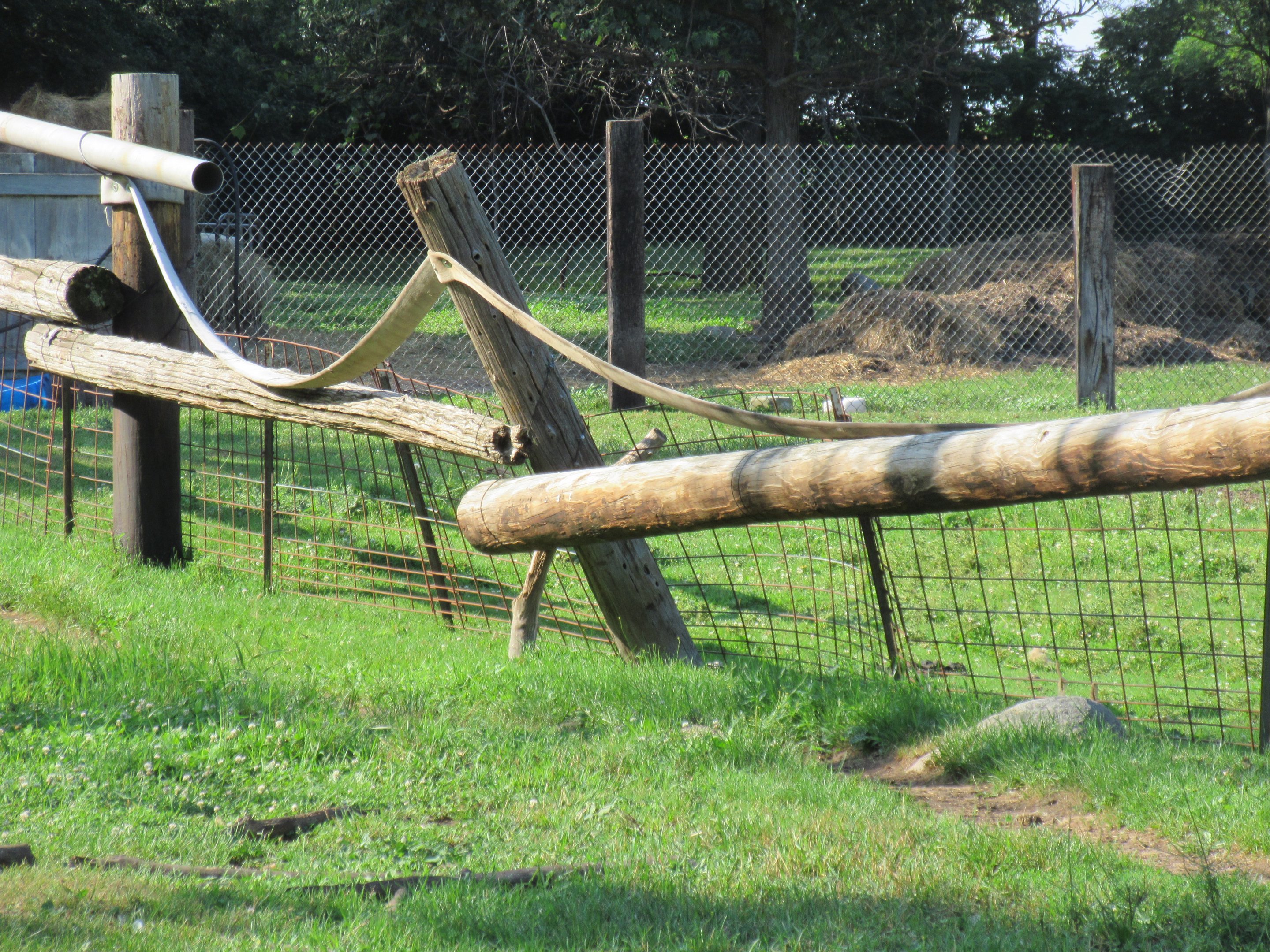 Donkey Exhibit - Dilapidated Fence