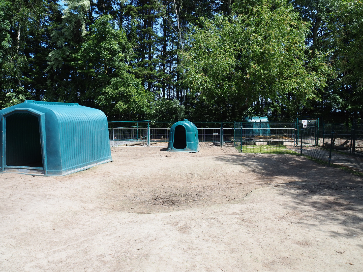 Donkey paddock, 2019-06-01