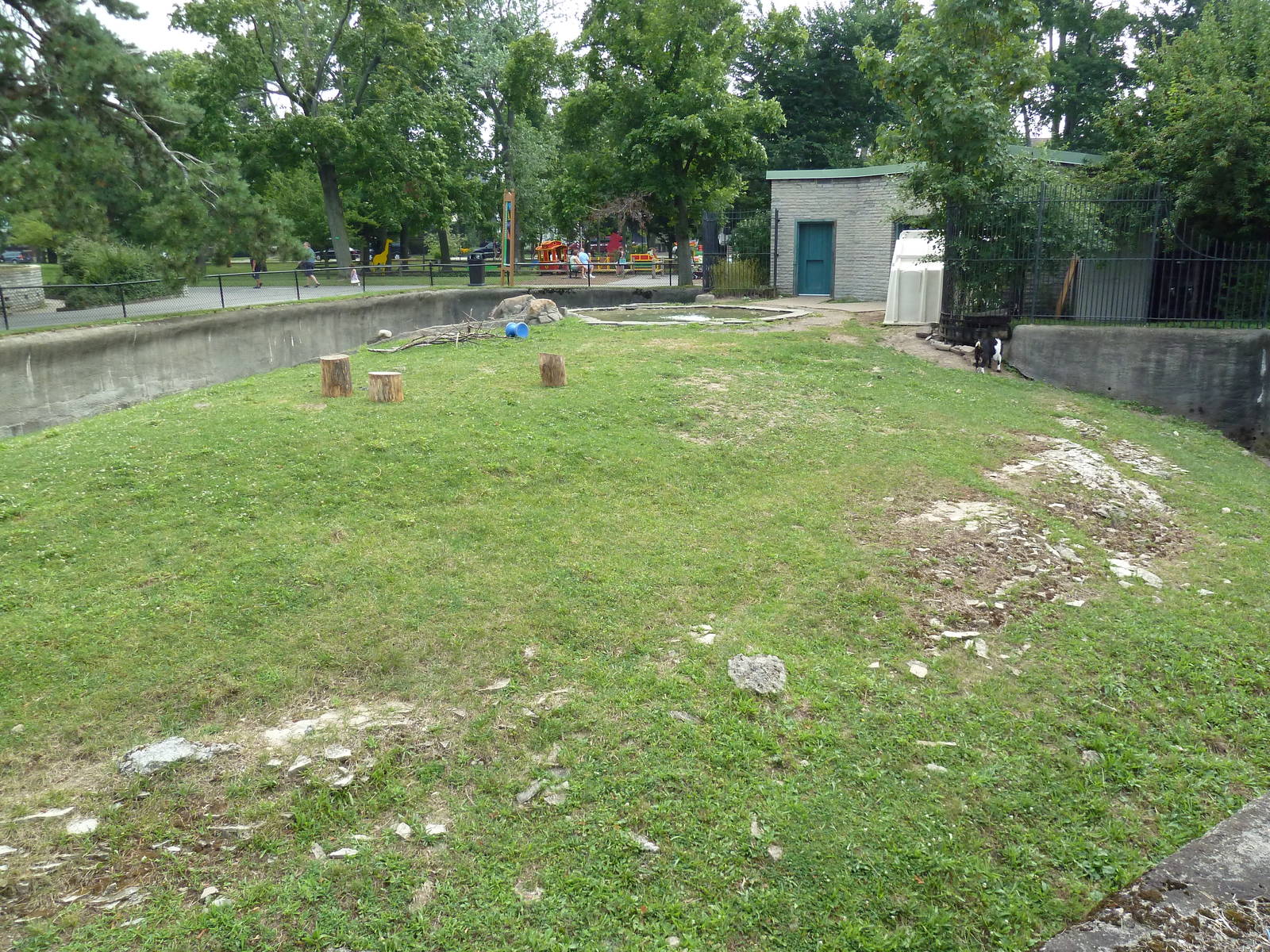 Donkey/Pig/Goat Exhibit