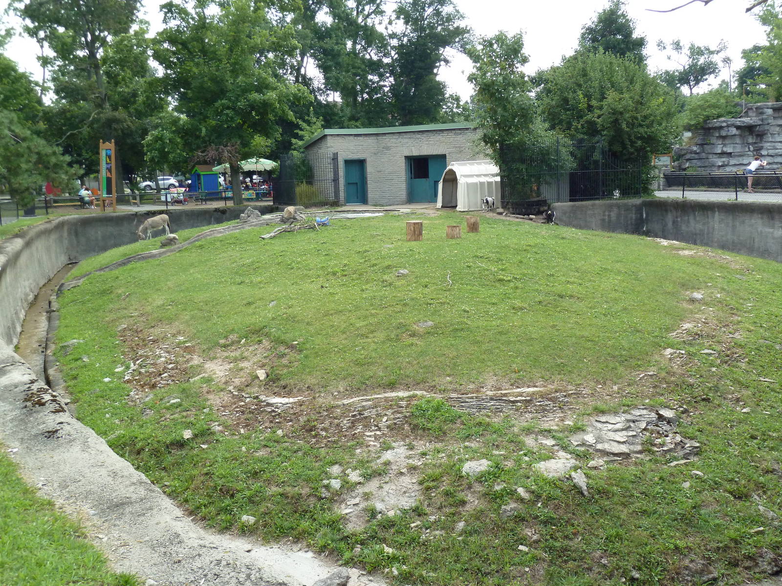 Donkey/Pig/Goat Exhibit