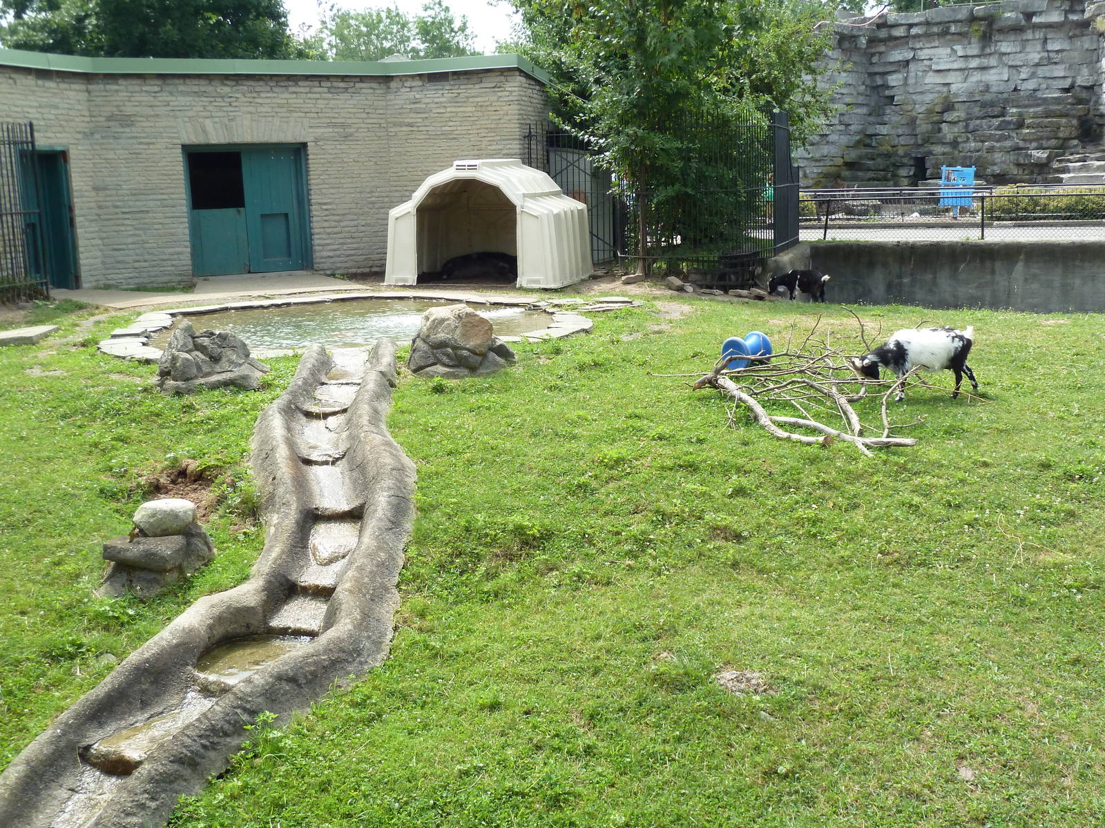 Donkey/Pig/Goat Exhibit