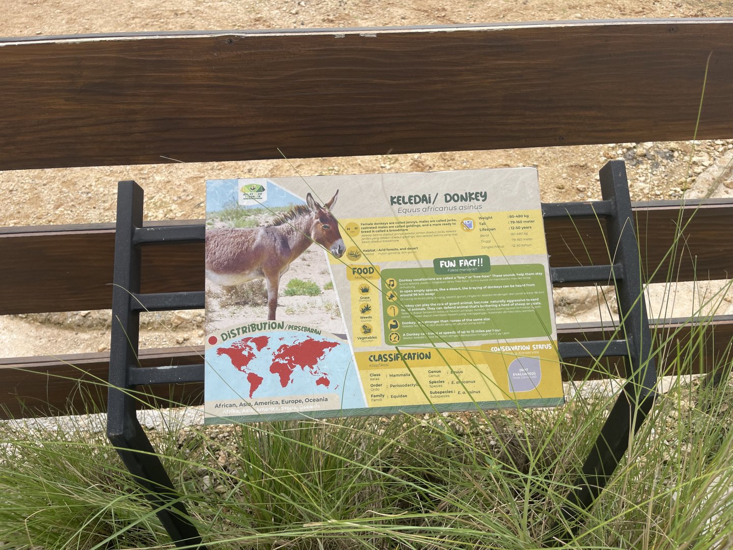 donkey signage - aviary park