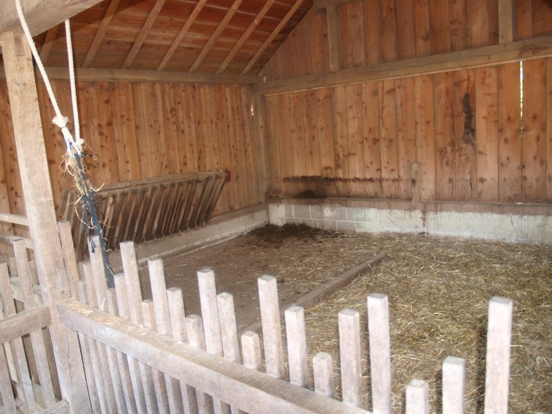 Donkey stable (May 2nd, 2015)