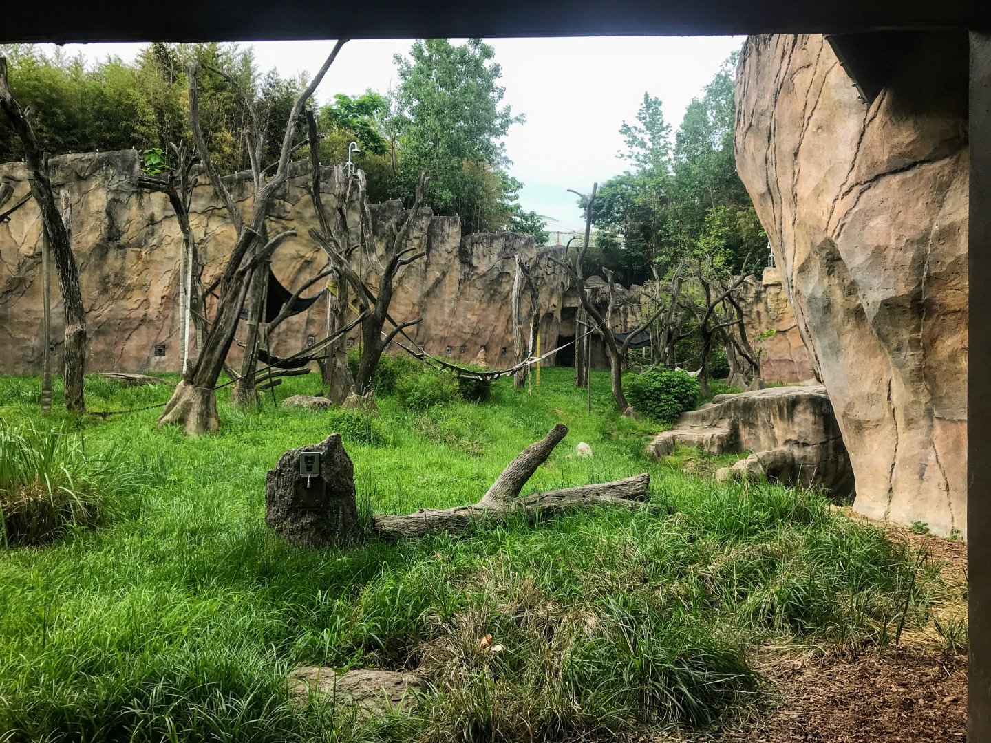 Donn and Marilyn Lipton Fragile Forest