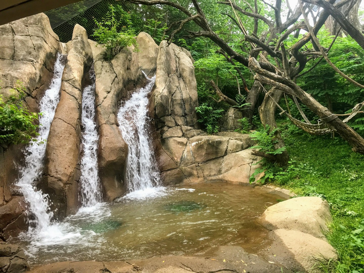 Donn and Marilyn Lipton Fragile Forest