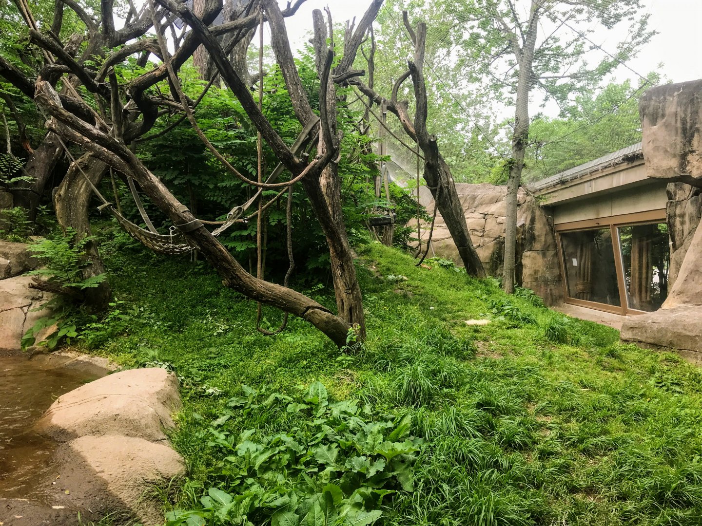 Donn and Marilyn Lipton Fragile Forest