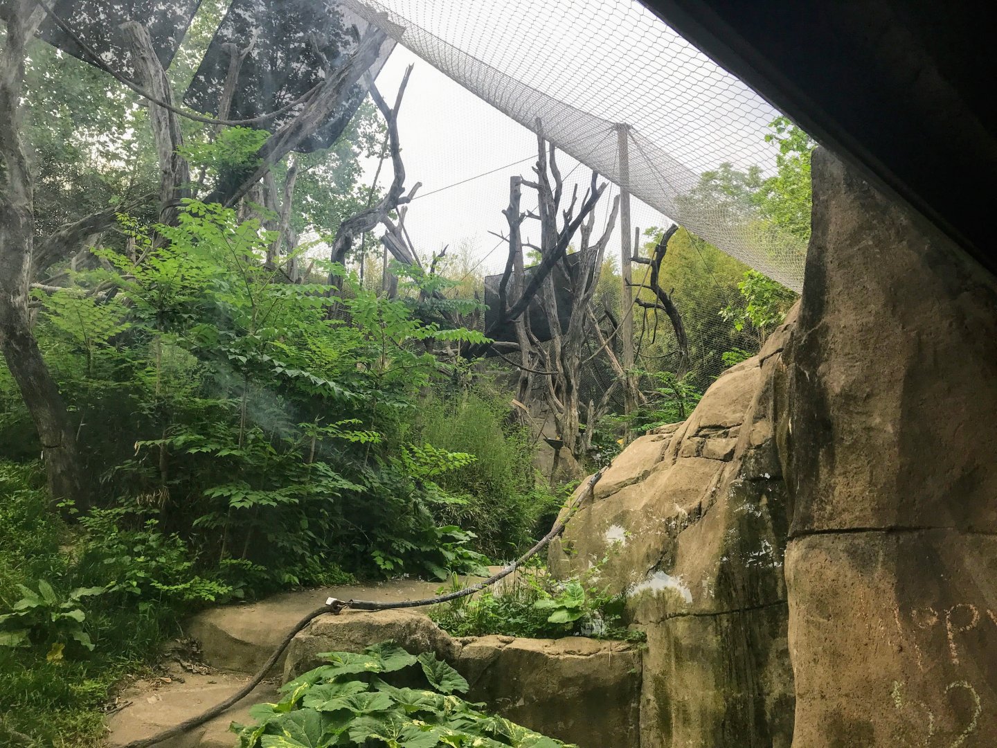 Donn and Marilyn Lipton Fragile Forest