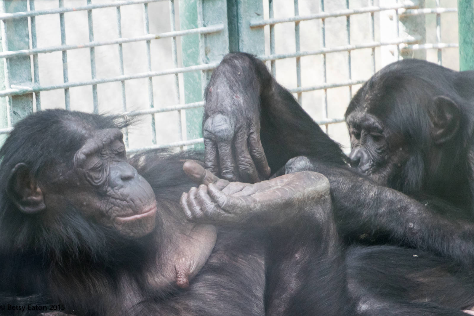 Donnie with his mom Susie?