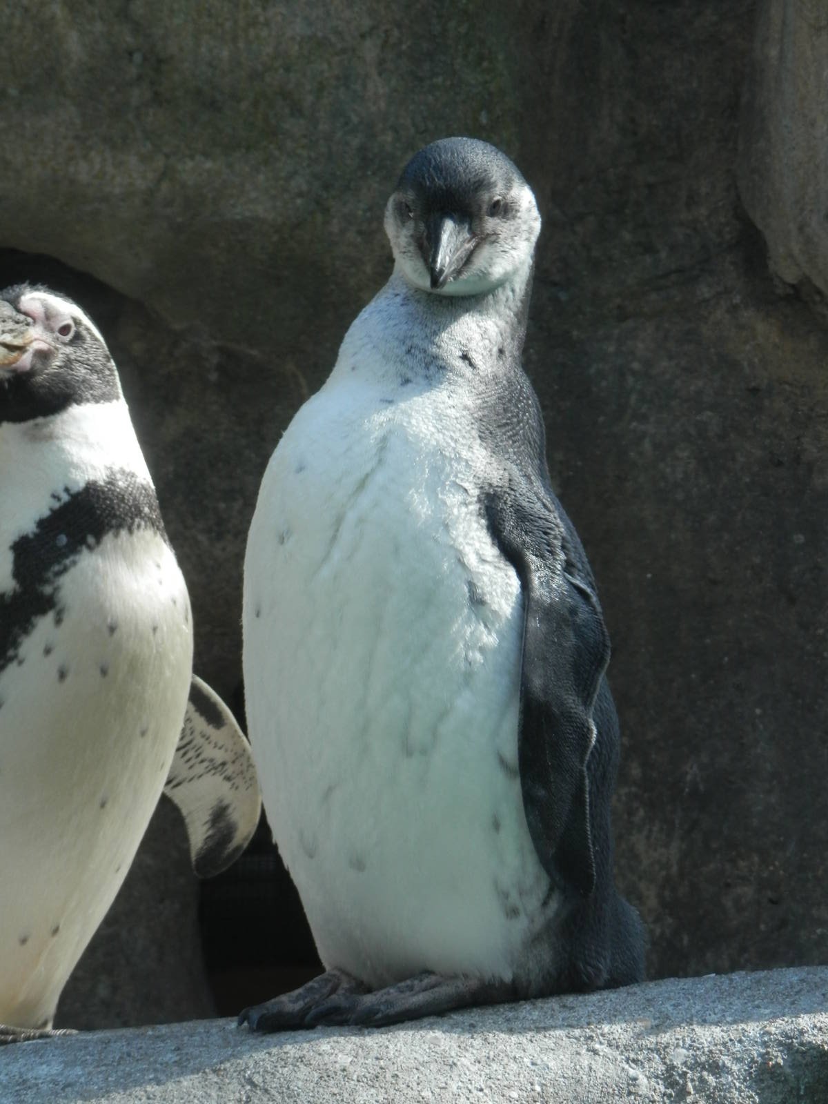 Don't call me a baby anymore!