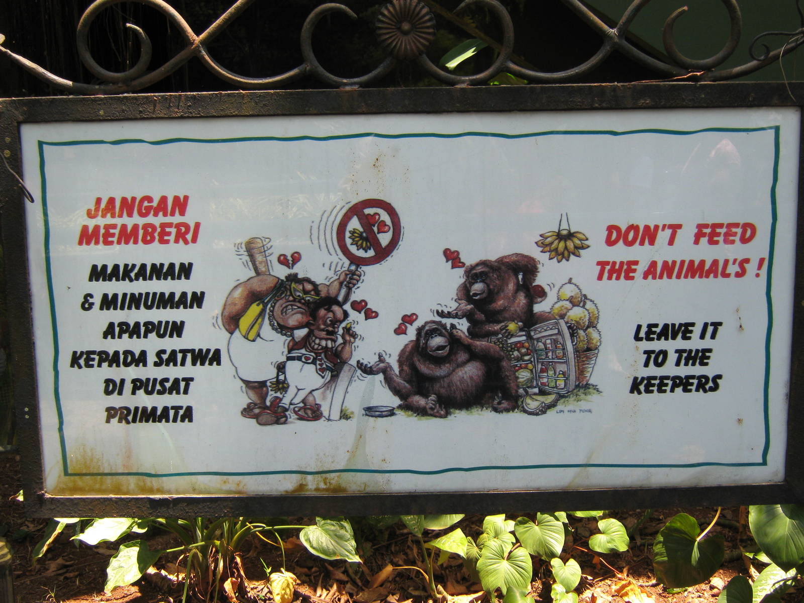 don't feed the animals