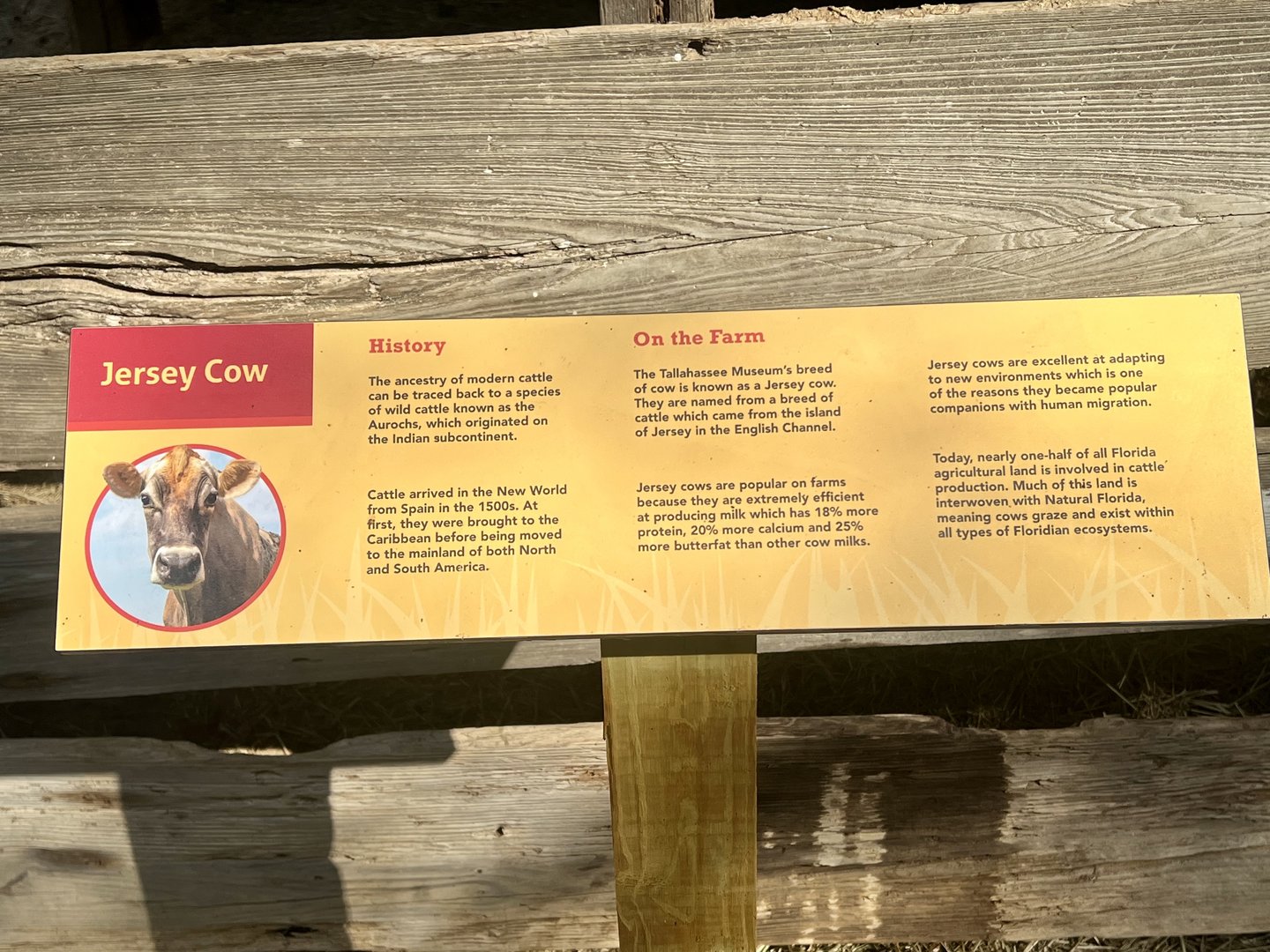 Don’t ignore the domestics…