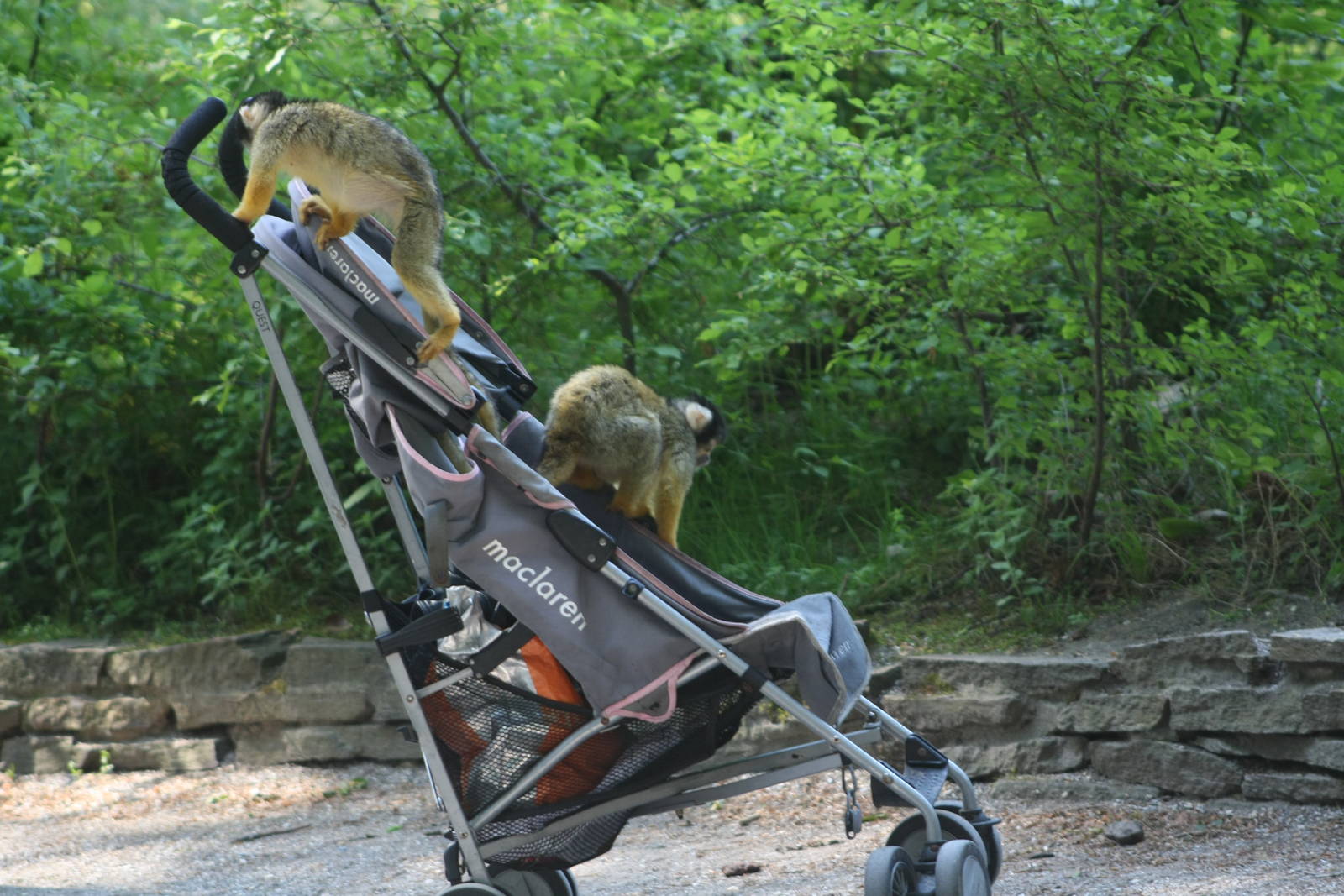 Don't leave your stroller unattended.