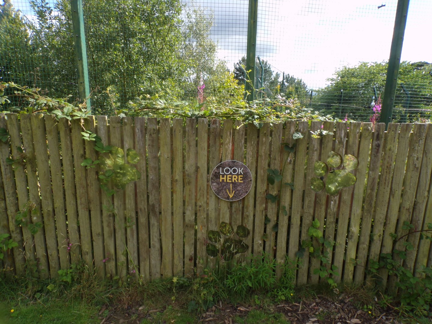 Don’t look here 18.7.25