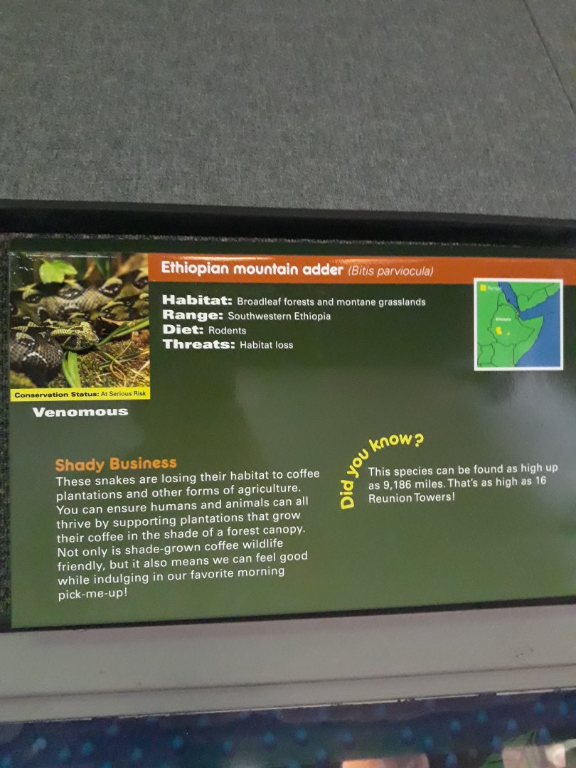 Don't remember this being here