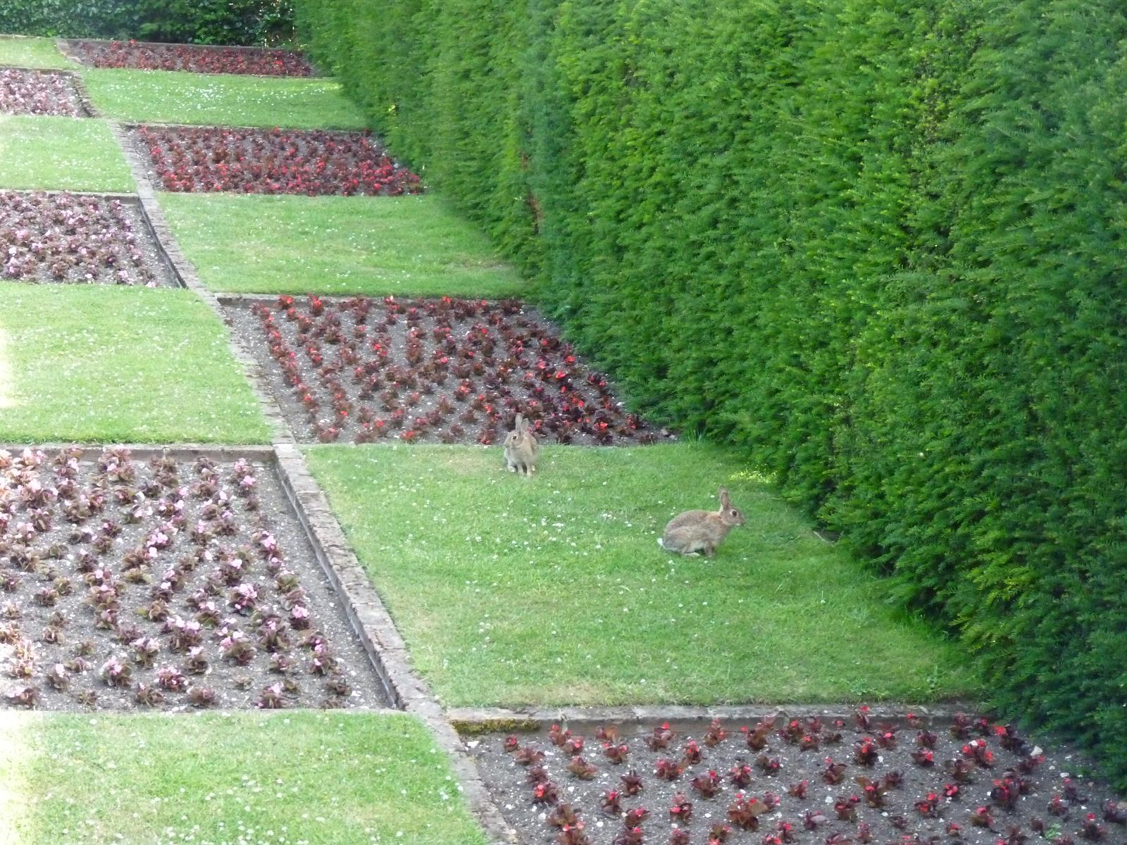 Dont tell the Gardener