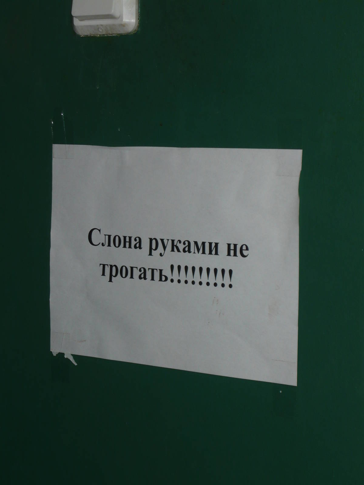 Don't touch the elephant!