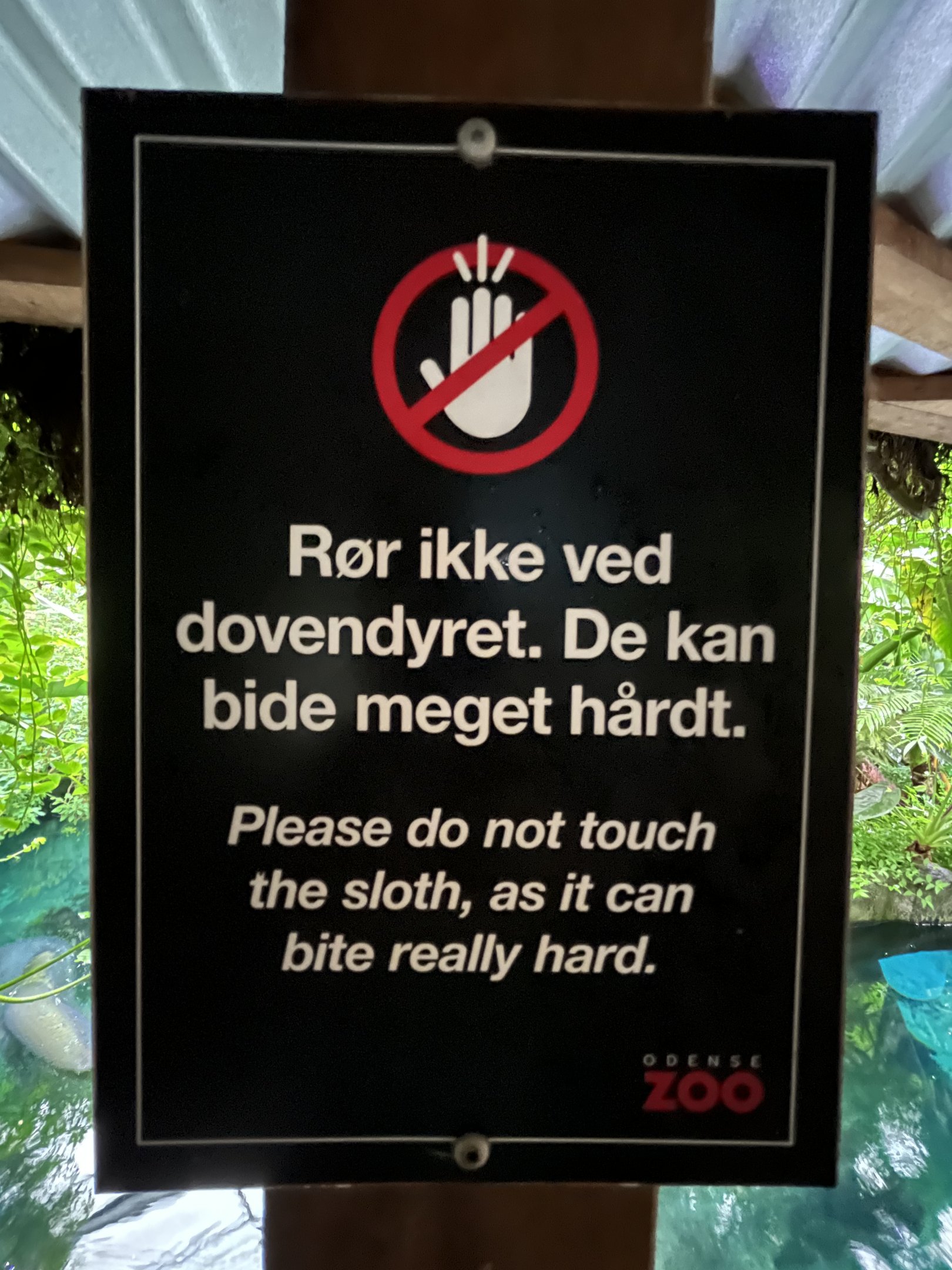 Don’t touch the sloths!