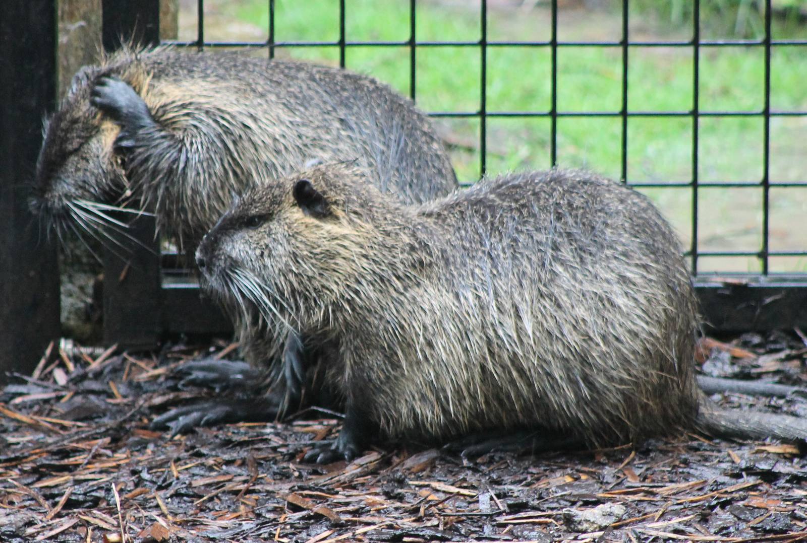 Don't want to hear it