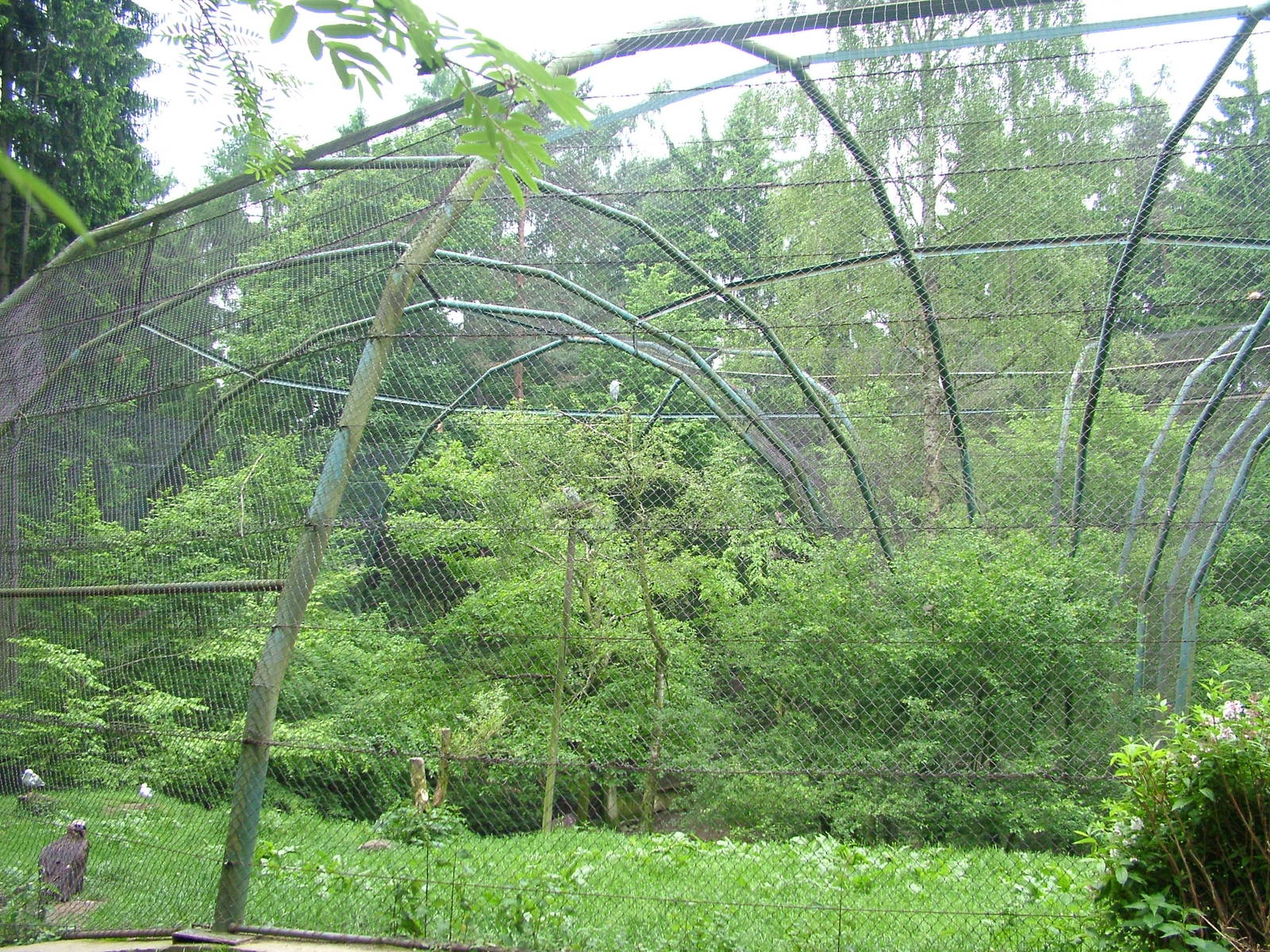 Donut Flight Aviary at Olomouc 30/05/10