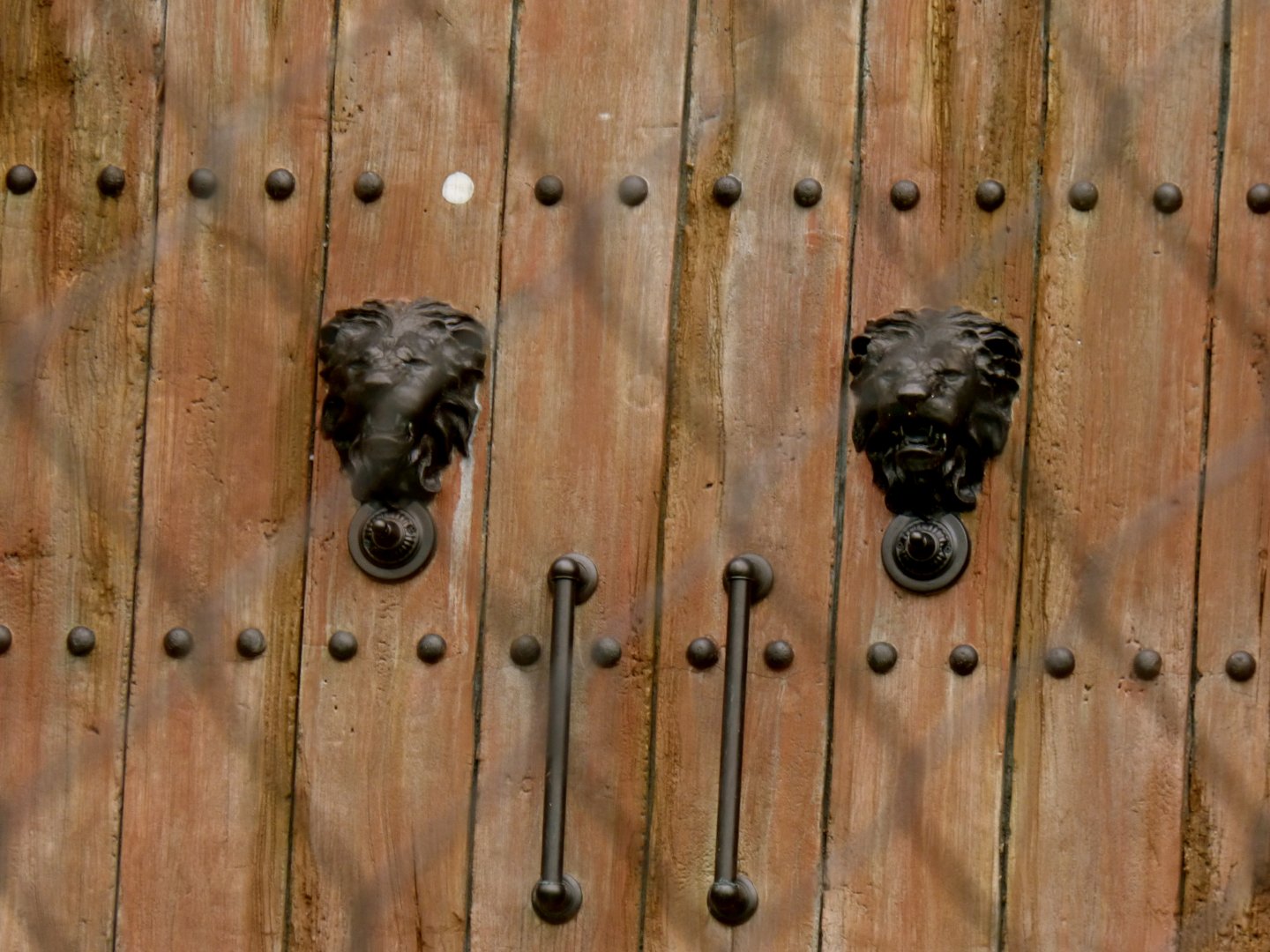 Door Details in Lion Exhibit - Sept. 2018