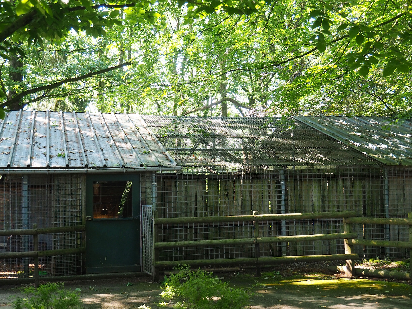 Door to Agouti and macaw indoor exhibit and part of backside of Clouded leopard exhibit, 2023-06-24