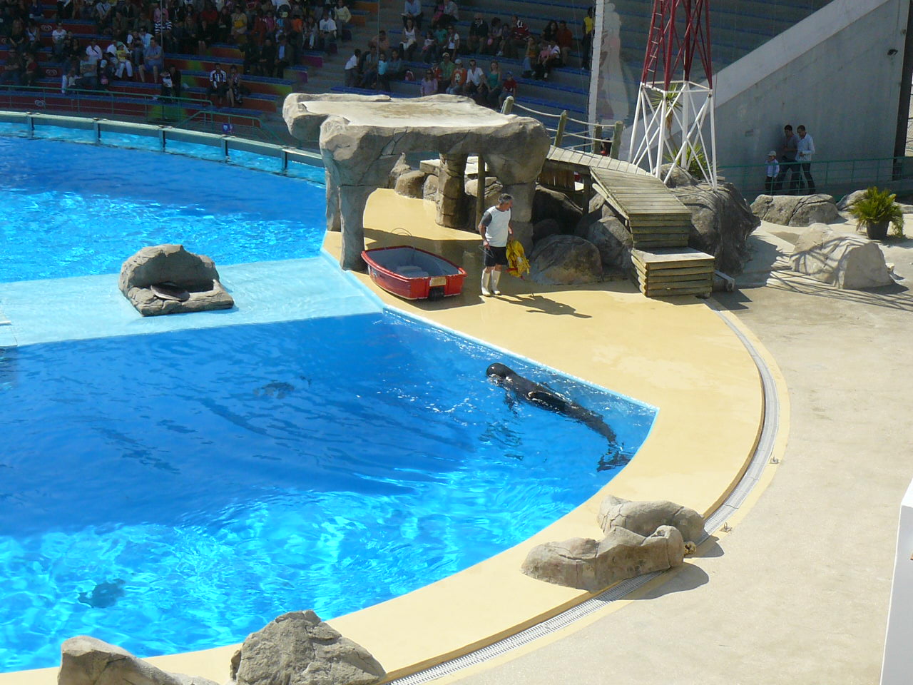 Dophinarium - Lisbon Zoo