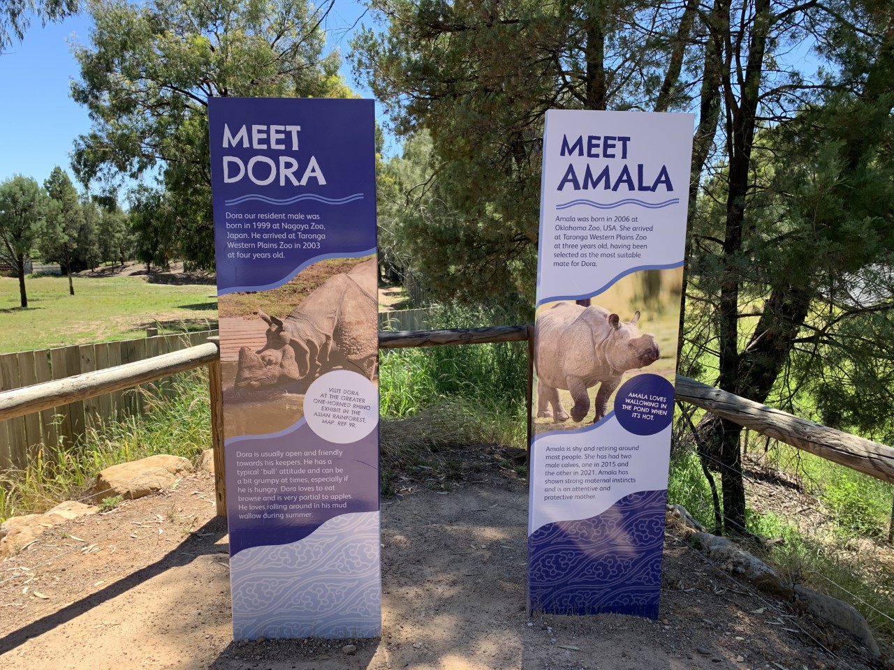 Dora and Amala signs