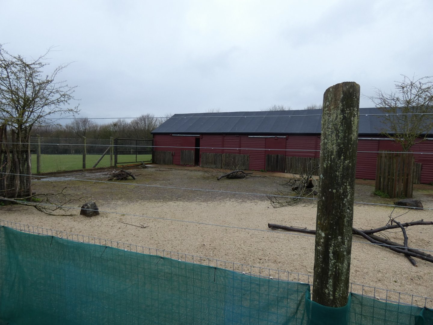 Dorcas Gazelle and Kirk's Dik-Dik Enclosure