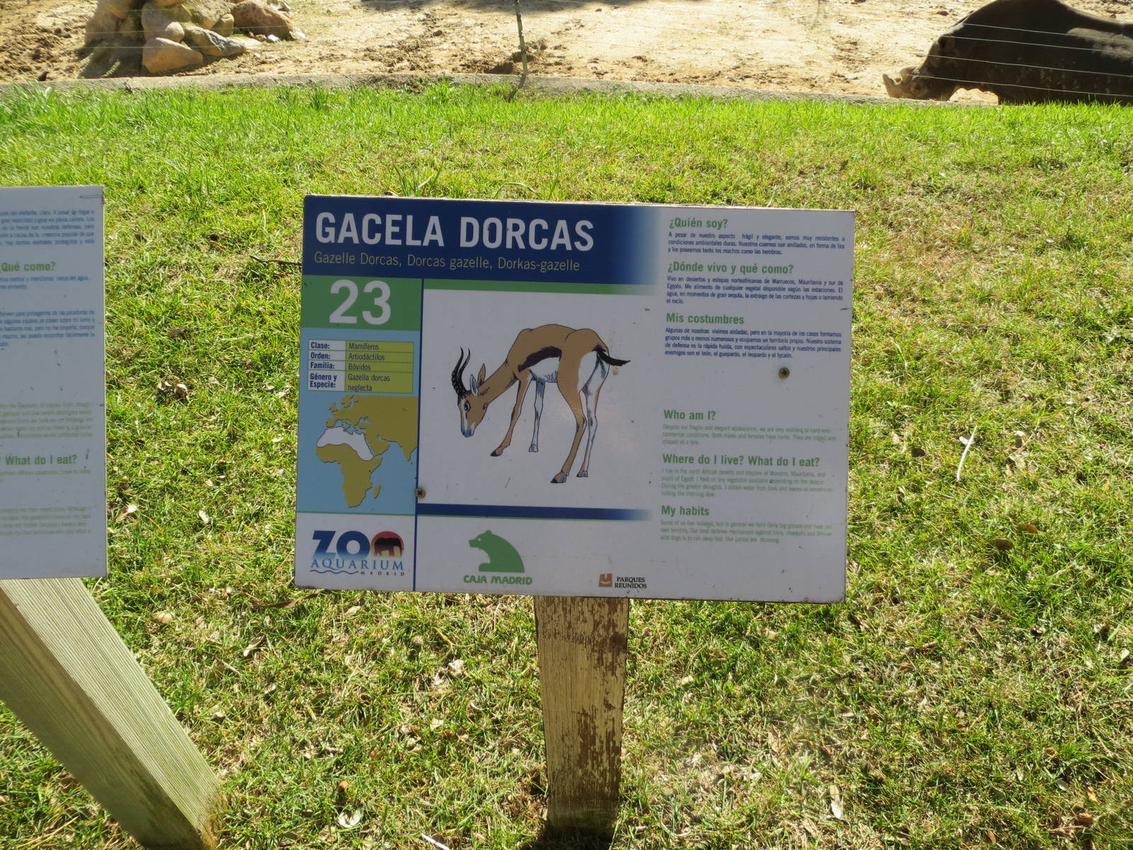 Dorcas Gazelle sign 150216